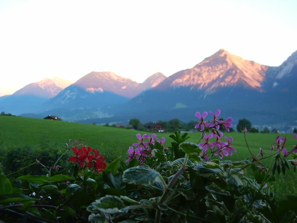 Pension Resi Reith im Alpbachtal Eksteriør bilde